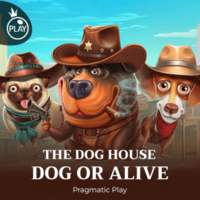 The Dog House – Dog or Alive