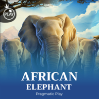 African Elephant™