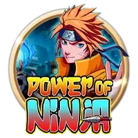 Power of Ninja