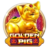 Golden Pig