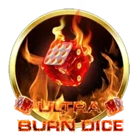 Ultra Burn Dice