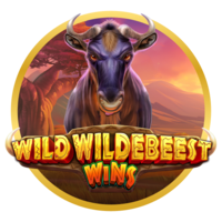 Wild Wildebeest Wins