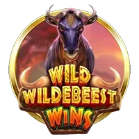 Wild Wildebeest Wins