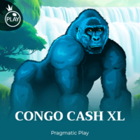 Congo Cash XL