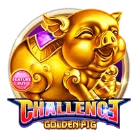 Feature Buy・golden Pig