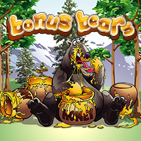 Bonus Bears