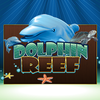 Dolphin Reef