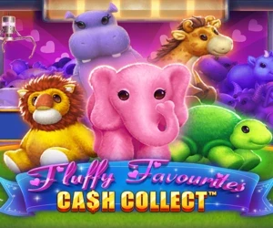 Fluffy Favourites: Cash Collect™