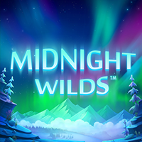 Midnight Wild