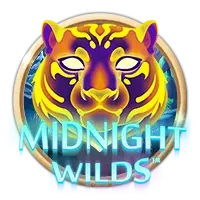 Midnight Wild