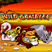 Wild Gambler