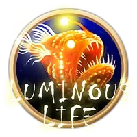 Luminous Life