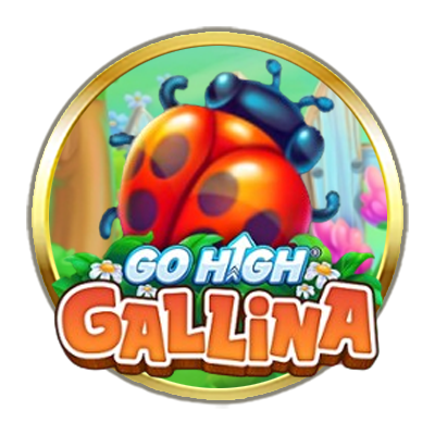 Go High Gallina