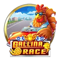 GALLINA RACE