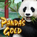 Panda's Gold