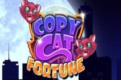 Copy Cat Fortune