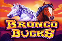 Bronco Bucks