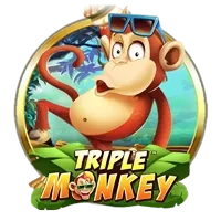 Triple Monkey