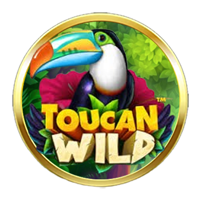 Toucan Wild