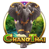 Chang Thai