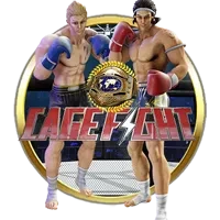Cage Fight