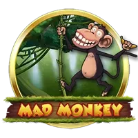 Mad Monkey