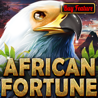 African Fortune