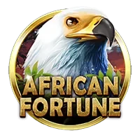 African Fortune