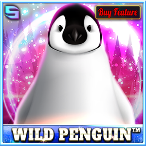 Wild Penguin