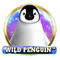 Wild Penguin