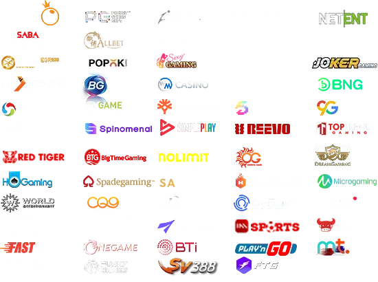 OUR PARTNER 80S